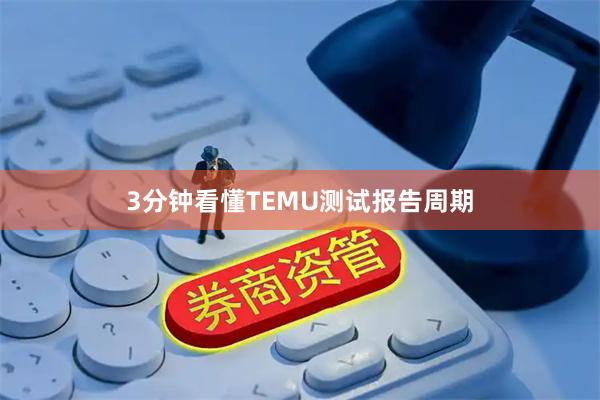 3分钟看懂TEMU测试报告周期