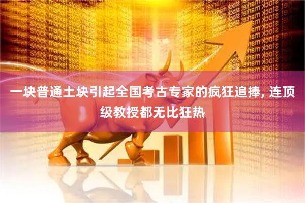 一块普通土块引起全国考古专家的疯狂追捧, 连顶级教授都无比狂热