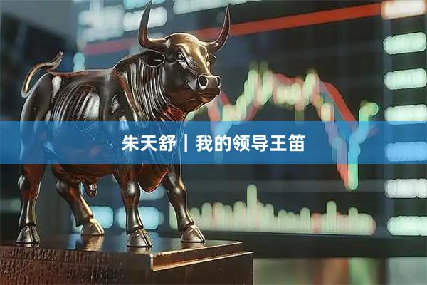 朱天舒｜我的领导王笛